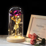Enchanted Rose LED, Beauty and the Beast Rose, Eternal Rose, Engagement, Anniversary(Ships within USA only)